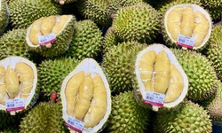 Loạn gi&#225; sầu ri&#234;ng, nơi b&#225;n v&#224;i chục ngh&#236;n nơi h&#224;ng trăm ngh&#236;n đồng/kg