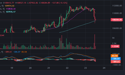 Bitcoin quay đầu lao dốc sau khi lập đỉnh cao nhất mọi thời đại