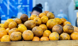 Quýt sim cuối vụ giá cao gấp 3 nhưng vẫn ‘được lòng’ người tiêu dùng