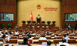Ph&#242;ng, chống dịch COVID-19 bộc lộ nhiều bất cập trong thực hiện ph&#225;p luật về t&#236;nh trạng khẩn cấp