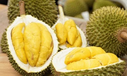 Sầu ri&#234;ng c&#243; t&#225;c dụng g&#236;?