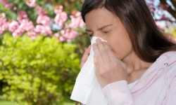 Dị ứng phấn hoa: Ai dễ mắc và cách phòng tránh hiệu quả