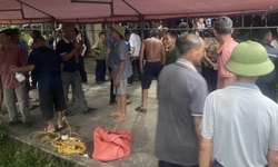 Người đ&#224;n &#244;ng bị s&#233;t đ&#225;nh tử vong khi đang gặt l&#250;a