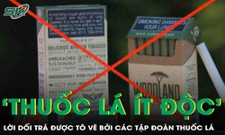 &#39;Thuốc l&#225; &#237;t độc&#39; – Lời dối tr&#225; được t&#244; vẽ bởi c&#225;c tập đo&#224;n thuốc l&#225;