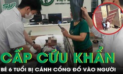 C&#225;nh cổng đổ v&#224;o người, b&#233; trai 6 tuổi mất nhiều m&#225;u, chấn thương nặng phải cấp cứu khẩn
