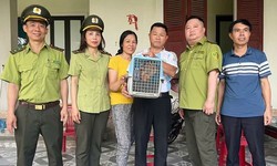 Ph&#225;t hiện động vật qu&#253; hiếm trong vườn nh&#224; 