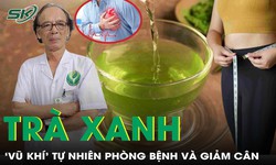 Tr&#224; xanh - &#39;Vũ kh&#237;&#39; tự nhi&#234;n gi&#250;p giảm c&#226;n, ph&#242;ng cả chục bệnh nguy hiểm