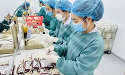 Thiếu m&#225;u, chế phẩm m&#225;u ng&#224;y c&#224;ng trầm trọng ở Nghệ An