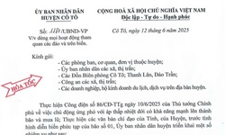 Tin mới về b&#227;o số 1: Dừng hoạt động tham quan đảo C&#244; T&#244;