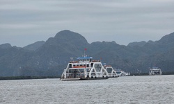 Hải Ph&#242;ng ứng ph&#243; b&#227;o số 1: Tạm dừng cấp ph&#233;p c&#225;c hoạt động, lưu tr&#250; tr&#234;n biển, cứu hộ kịp thời t&#224;u c&#225; gặp nạn