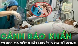 23.000 ca sốt xuất huyết, 5 ca tử vong, Bộ Y tế ph&#225;t cảnh b&#225;o khẩn