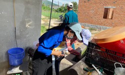 Kh&#225;nh H&#242;a tăng ca mắc sốt xuất huyết v&#224; đ&#227; c&#243; trường hợp tử vong, người d&#226;n cần ch&#250; &#253; g&#236;?