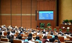 &#39;Chốt&#39; quy định đối tượng kh&#244;ng được th&#224;nh lập, g&#243;p vốn v&#224; quản l&#253; doanh nghiệp