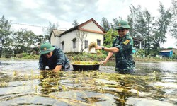 Cấp 130 tấn giống l&#250;a cho người d&#226;n Quảng Trị khắc phục hậu quả b&#227;o số 1