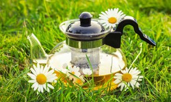 Uống g&#236; để da trắng hồng từ b&#234;n trong?