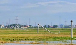 D&#244;ng lốc ở Thanh H&#243;a l&#224;m h&#224;ng loạt cột điện g&#227;y đổ