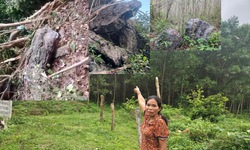 D&#226;n bản thấp thỏm lo lắng đ&#225; lăn từ đồi cao xuống đ&#232; nh&#224;