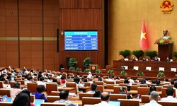 Ch&#237;nh thức nghi&#234;m cấm chiếm đoạt, cố &#253; l&#224;m lộ dữ liệu c&#225; nh&#226;n