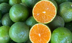 5 loại tr&#225;i c&#226;y gi&#224;u kali c&#243; thể gi&#250;p hạ huyết &#225;p