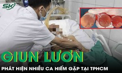 Phát hiện nhiều ca nhiễm giun lươn hiếm gặp tại TPHCM 
