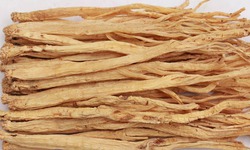 4 b&#224;i thuốc trị rối loạn ti&#234;u h&#243;a m&#249;a h&#232;
