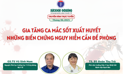 Truyền h&#236;nh trực tuyến: Gia tăng ca mắc sốt xuất huyết, những biến chứng nguy hiểm cần đề ph&#242;ng