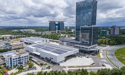 L&#225; thư của Chủ tịch tỉnh trước ng&#224;y s&#225;p nhập