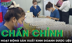 Chấn chỉnh hoạt động sản xuất dược liệu tại Hưng Y&#234;n