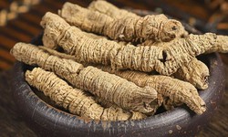 5 c&#226;y thuốc nam gi&#250;p bổ thận tr&#225;ng dương tăng cường sức khỏe nam giới