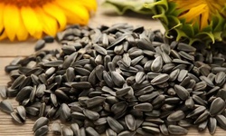 Lợi &#237;ch khi ăn hạt hướng dương