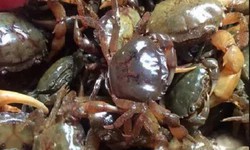 7 lưu &#253; cần thiết khi ăn cua đồng trong m&#249;a h&#232;