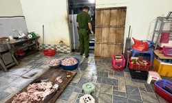 Trộn h&#224;n the v&#224;o gi&#242; chả, 2 người bị khởi tố