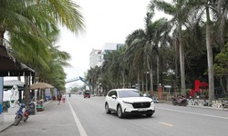 Thanh H&#243;a: Cắm biển giới hạn tốc độ để xe điện 4 b&#225;nh tiếp tục hoạt động