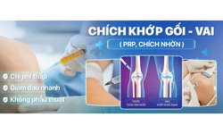 Ti&#234;m huyết tương gi&#224;u tiểu cầu - Giải ph&#225;p cho người tho&#225;i h&#243;a khớp gối?
