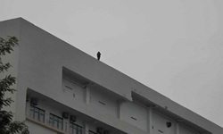 Gần 3 giờ &#39;nghẹt thở&#39; giải cứu ch&#225;u g&#225;i c&#243; &#253; định tự tử tại Bệnh viện Bạch Mai