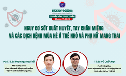 Truyền h&#236;nh trực tuyến: Nguy cơ sốt xuất huyết, tay ch&#226;n miệng v&#224; c&#225;c dịch bệnh m&#249;a h&#232; ở trẻ nhỏ v&#224; phụ nữ mang thai