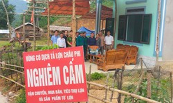 Xử l&#253; nghi&#234;m h&#224;nh vi giấu dịch, vứt x&#225;c lợn bệnh ra m&#244;i trường