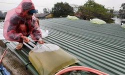 B&#227;o số 3 tăng cấp ch&#243;ng mặt chỉ trong v&#242;ng 3 tiếng, người d&#226;n phải l&#224;m g&#236; để an to&#224;n?