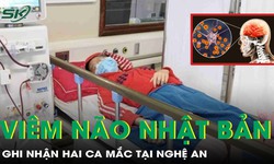 Ghi nhận 2 trường hợp mắc vi&#234;m n&#227;o Nhật Bản tại Nghệ An