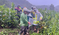 Lai Ch&#226;u: Sạt lở đất đ&#225; tr&#234;n Quốc lộ 4D khiến một người tử vong
