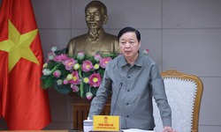 Ứng ph&#243; với b&#227;o số 3: Ph&#243; Thủ tướng chỉ đạo c&#225;c bộ, ng&#224;nh, địa phương duy tr&#236; chế độ trực 24/24h