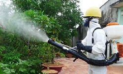 Nguy cơ b&#249;ng dịch sốt xuất huyết cao, Thủ tướng chỉ đạo loạt biện ph&#225;p ph&#242;ng, chống