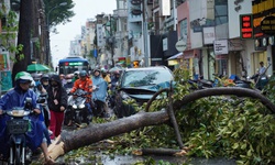 TPHCM khẩn cấp ứng ph&#243; b&#227;o số 3, y&#234;u cầu trực 24/24
