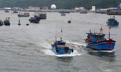 To&#224;n bộ t&#224;u thuyền ở Vịnh Bắc Bộ cần v&#224;o ngay nơi tr&#250; ẩn an to&#224;n
