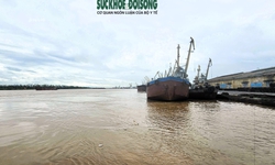 Nước v&#249;ng cửa s&#244;ng ven biển d&#226;ng cao vượt mức lịch sử, h&#224;ng loạt điểm c&#243; nguy cơ sạt lở