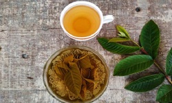 Uống nước l&#225; ổi thay nước lọc hằng ng&#224;y g&#226;y hại như thế n&#224;o?