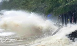 Biển Đông đón bão số 4 có tên là Cỏ may