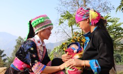 Phạm vi hoạt động kh&#225;m chữa bệnh của c&#244; đỡ th&#244;n bản