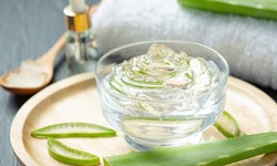 C&#225;ch sử dụng l&#244; hội (nha đam) để c&#243; l&#224;n da s&#225;ng v&#224; m&#225;i t&#243;c khỏe mạnh
