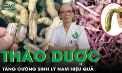 Thảo dược giúp tăng cường sinh lý nam hiệu quả